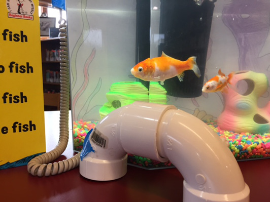 Goldfish in an aquarium next to a mock telephone constructed of PVC pipe.