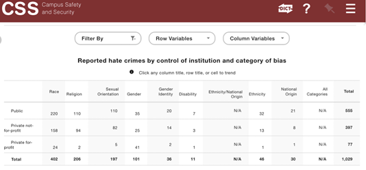 Figure 5. Custom report showing hate crimes