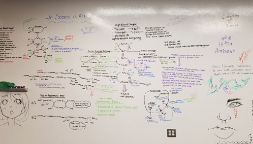 Figure 5. Study notes on the whiteboard wall: “Science is art.”