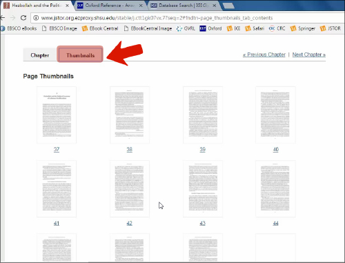 Figure 10. JSTOR Thumbnails Tab